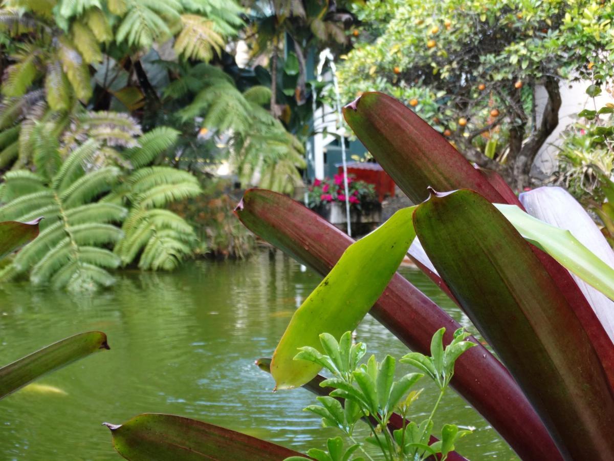 Lodge Kilauea